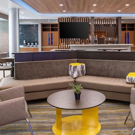 Springhill Suites By Marriott Riverside רדלנדס מראה חיצוני תמונה